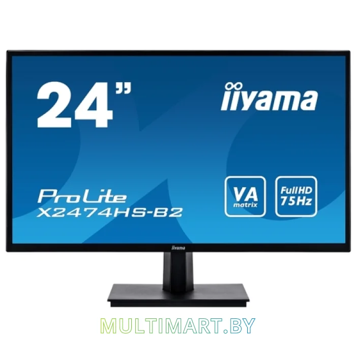Монитор Iiyama ProLite X2474HS-B2